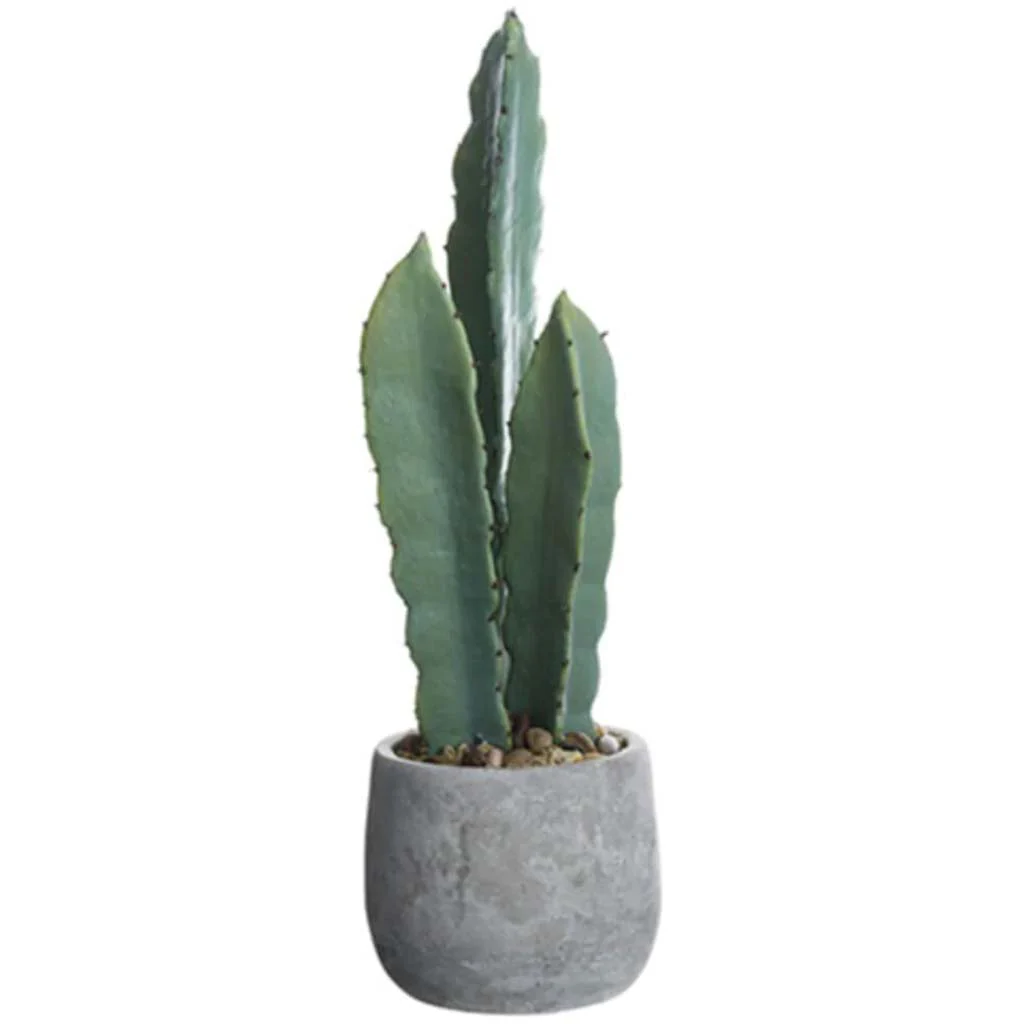 Column Cactus In Cement Pot 19"