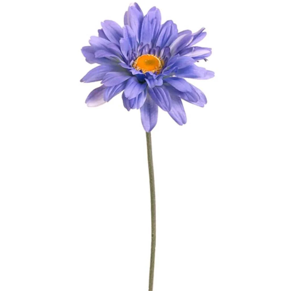 Gerbera Daisy Spray 27" Blue helio