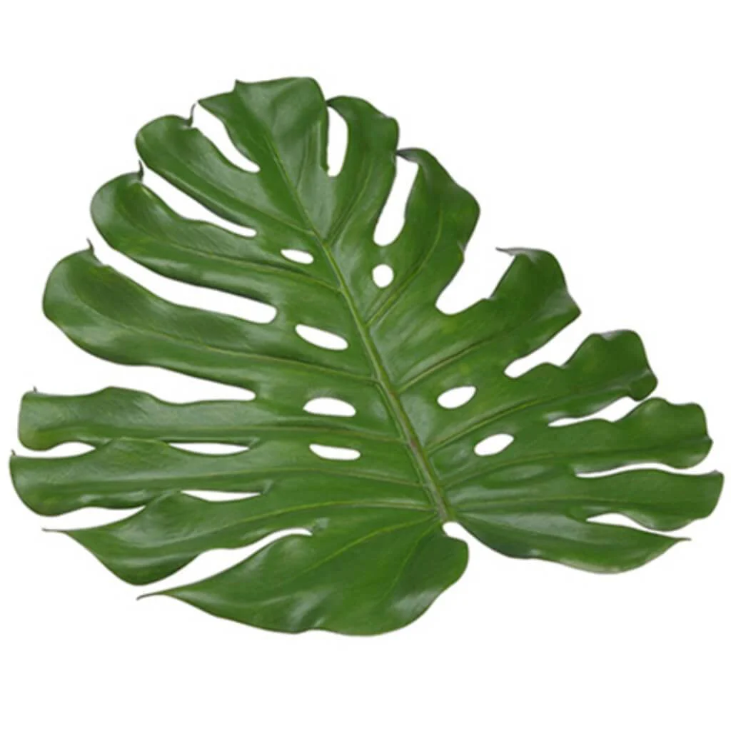 18"Monstera Placemat Gr