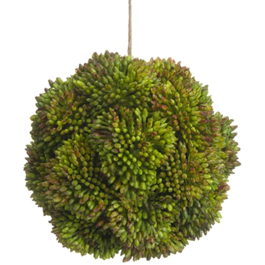4"Sedum Orb Gr