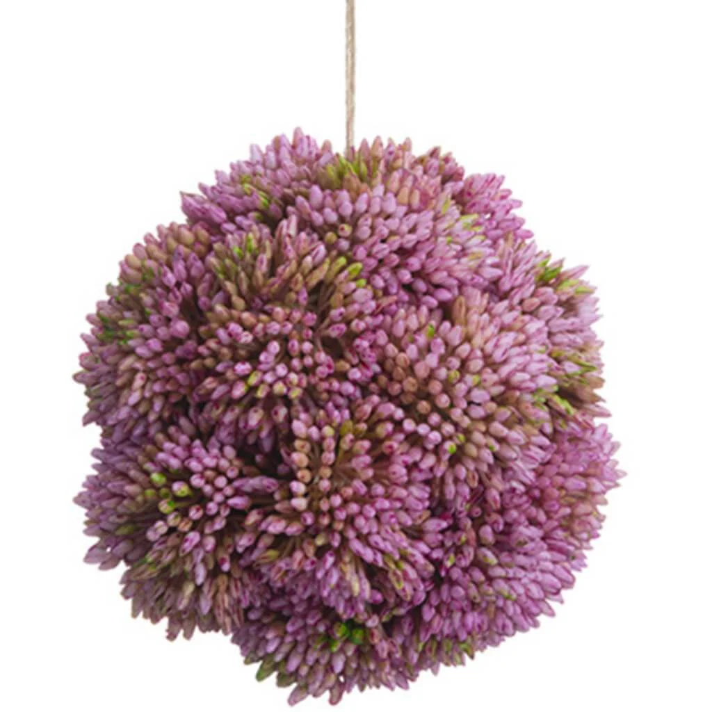4"Sedum Orb Mv
