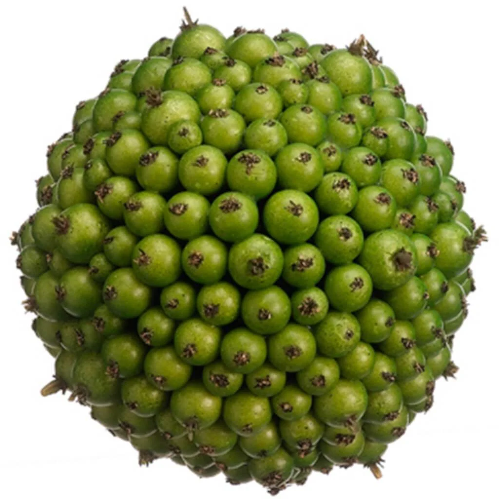 4.5"Berry Orb Gr