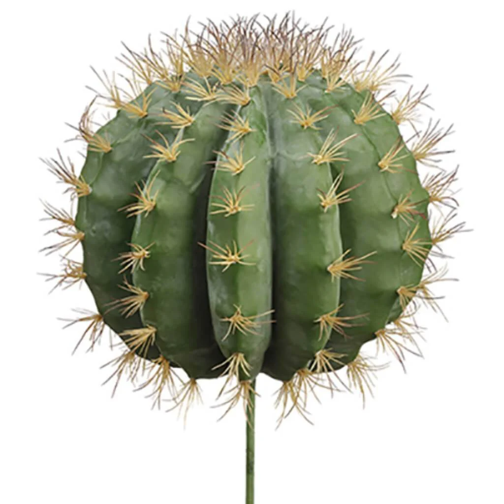 Soft Barrel Cactus Green, 17in H x 10in D
