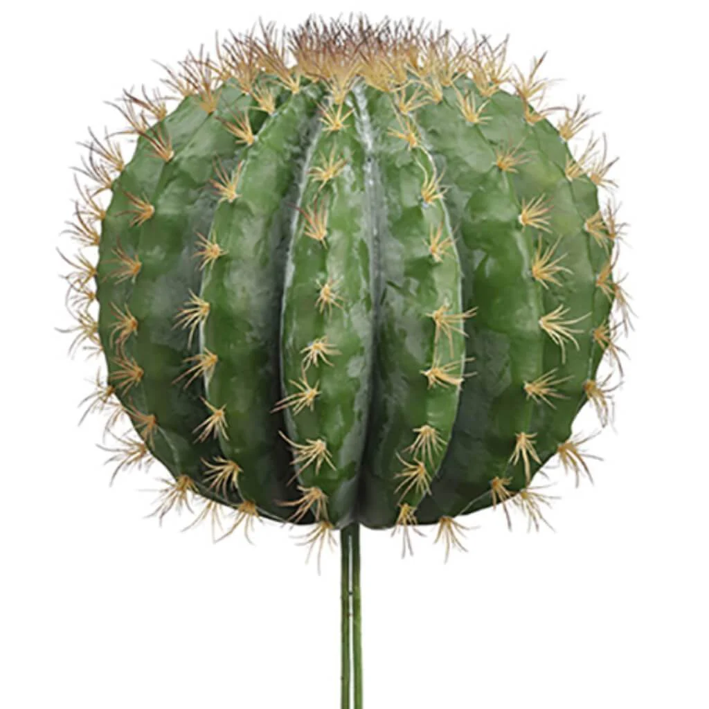 18"H13"D Soft Barrel Cactus Gr