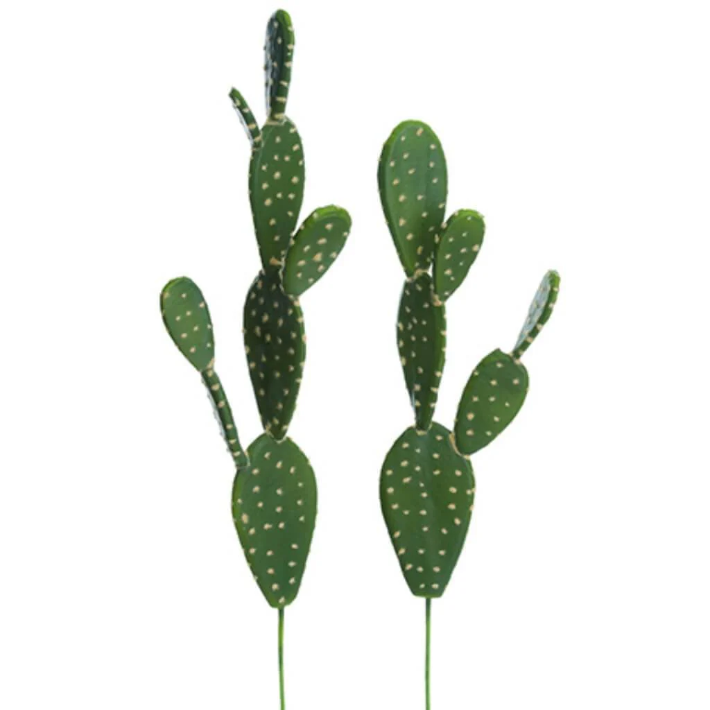 18.5"-21.5"Soft Cactus(2Ast/St