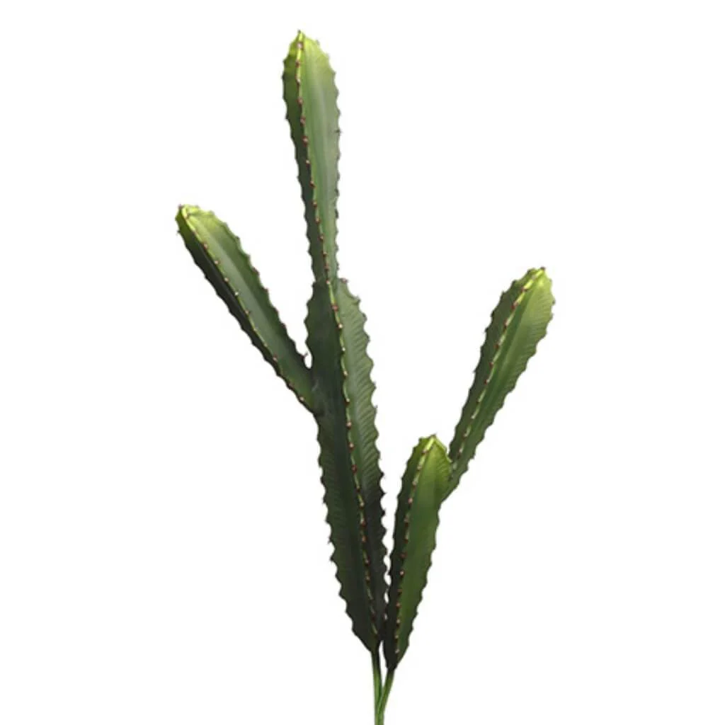 20"-26"Soft Cactus (2Ast/St)Gr