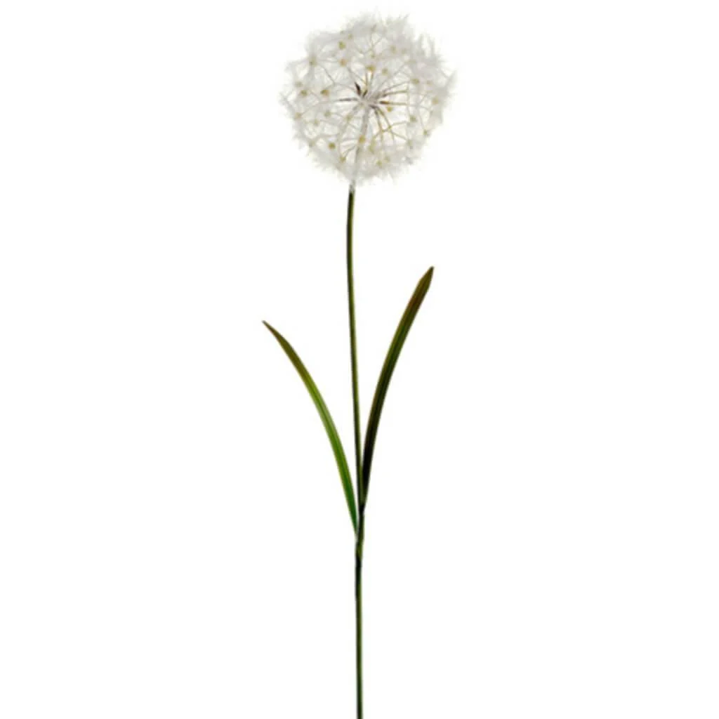 Dandelion Spray 40" Cream