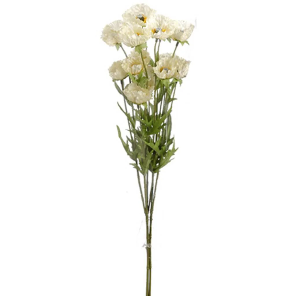 27"Mini Poppy Bundle X3 Cr