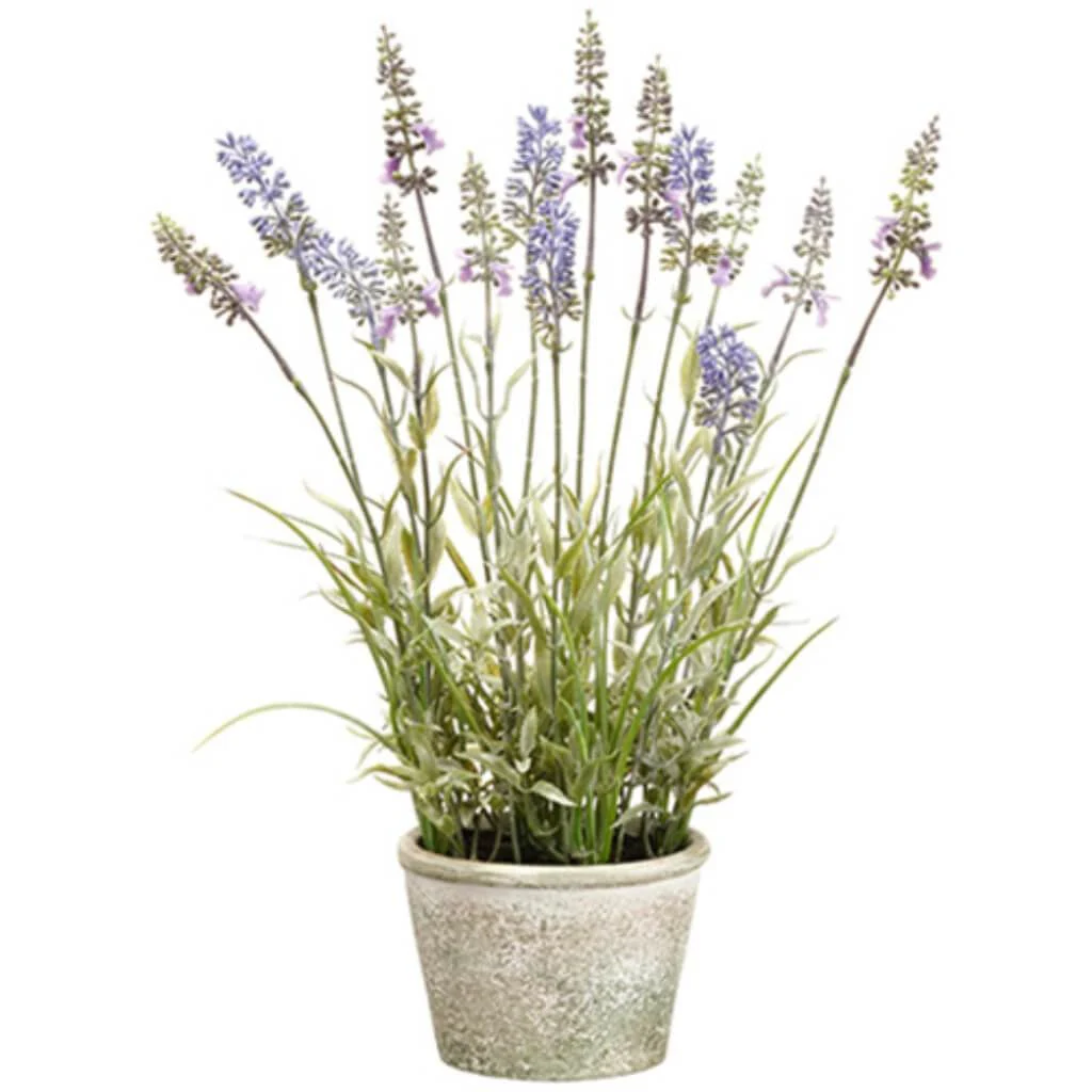 Lavender(Paper Mache Pot) 15.5in
