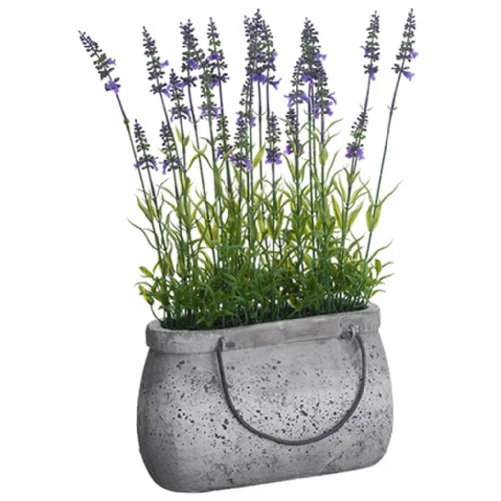 Lavender In T/C Planter, 18.5in