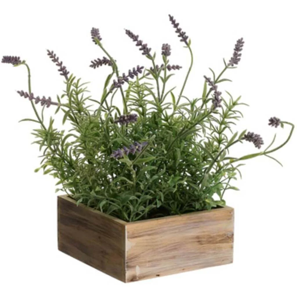 12.5"Lavender In Wood Pot Lv
