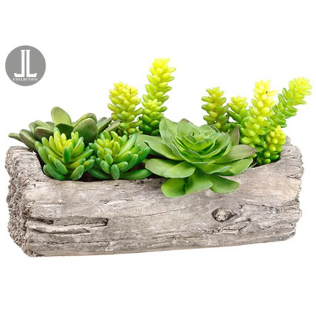 8"Succulent Garden In Log Gr