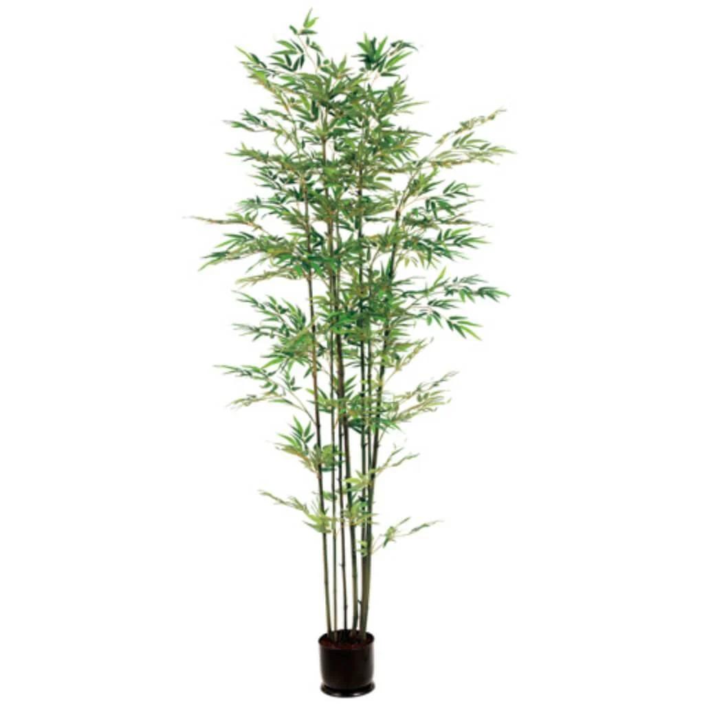 Bamboo Tree x7 with 1980 Leaves in Pot, 7ft