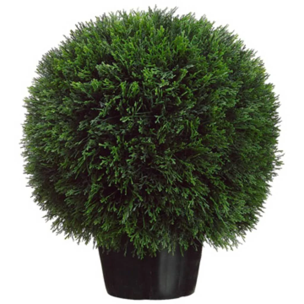 20H18.5W18.5"L Ced.Ball Top.(P