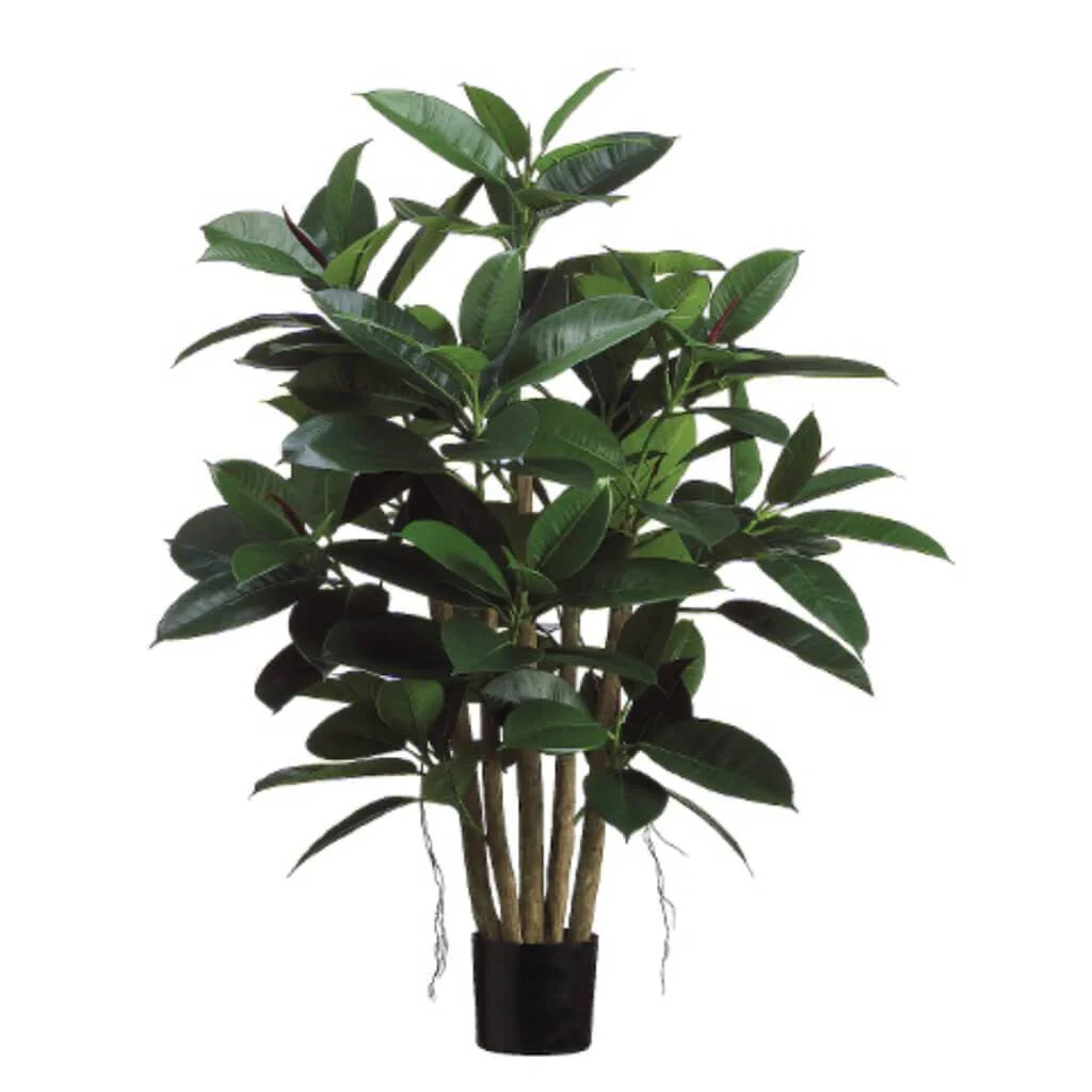 Rubber Leaf Plant Green, 39in