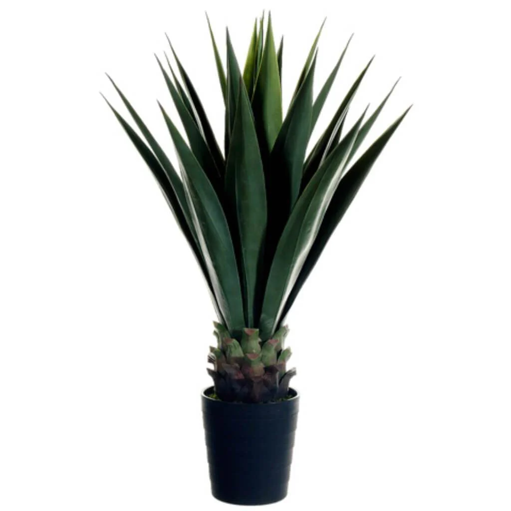 Sisal Plant in Pot Green, 41in