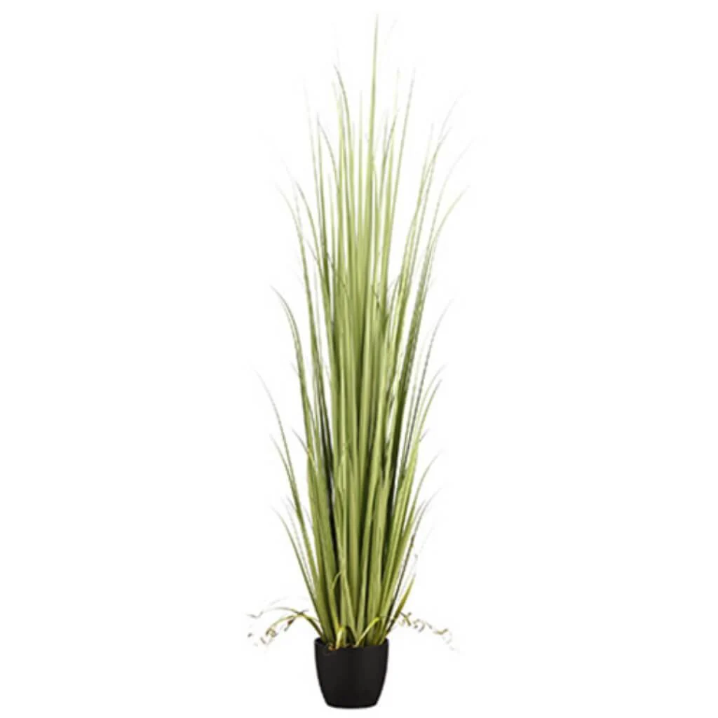 84"Reed Grass In Pot Gr/Lt