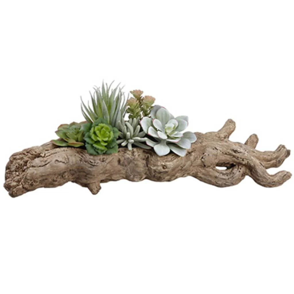 6.5"Succulent Garden(P)Gr