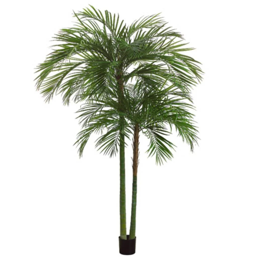 Areca Palm Tree Branch x2 with 1692 Leaves 7ft