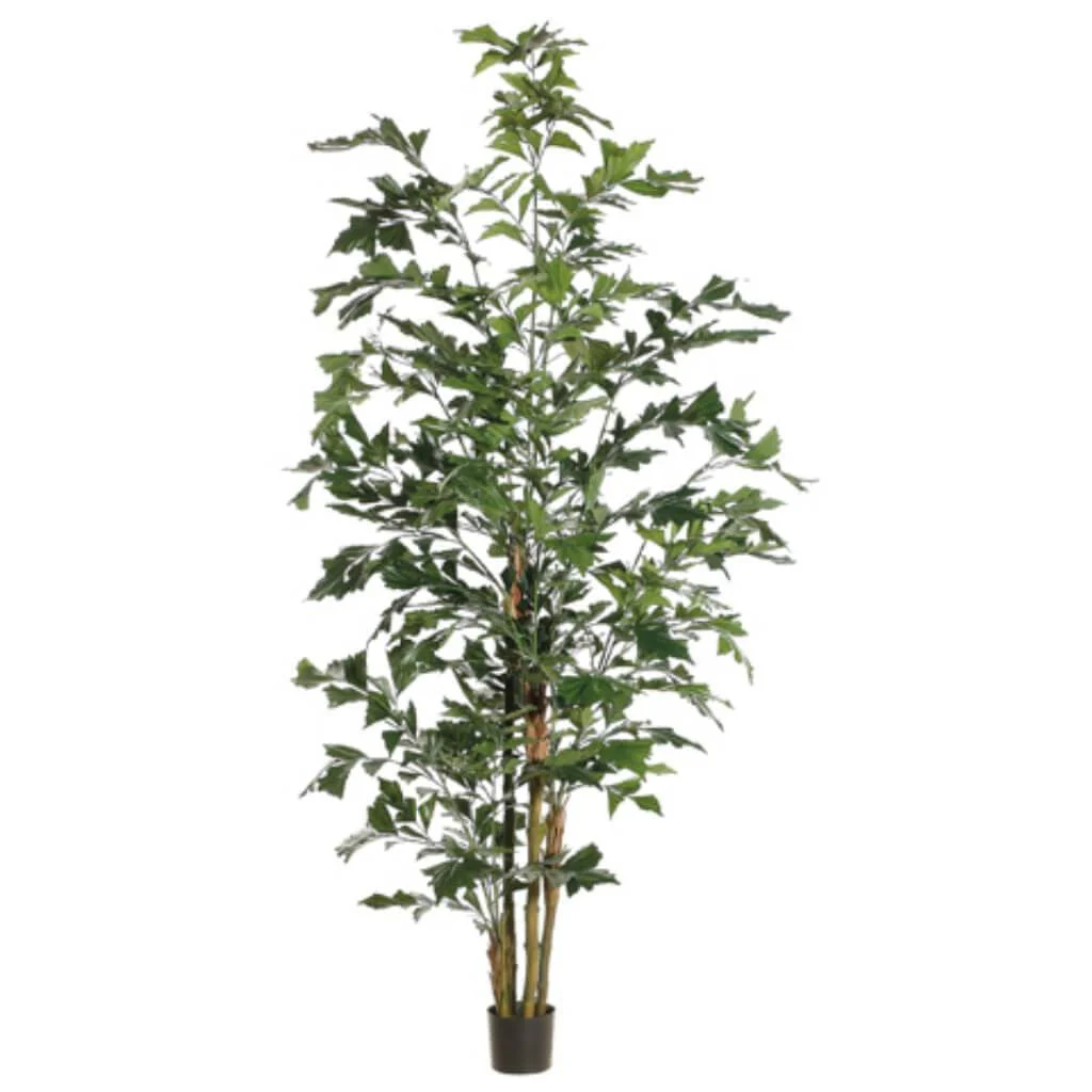 Palm Tree Fly Fishtail 8ft, Green