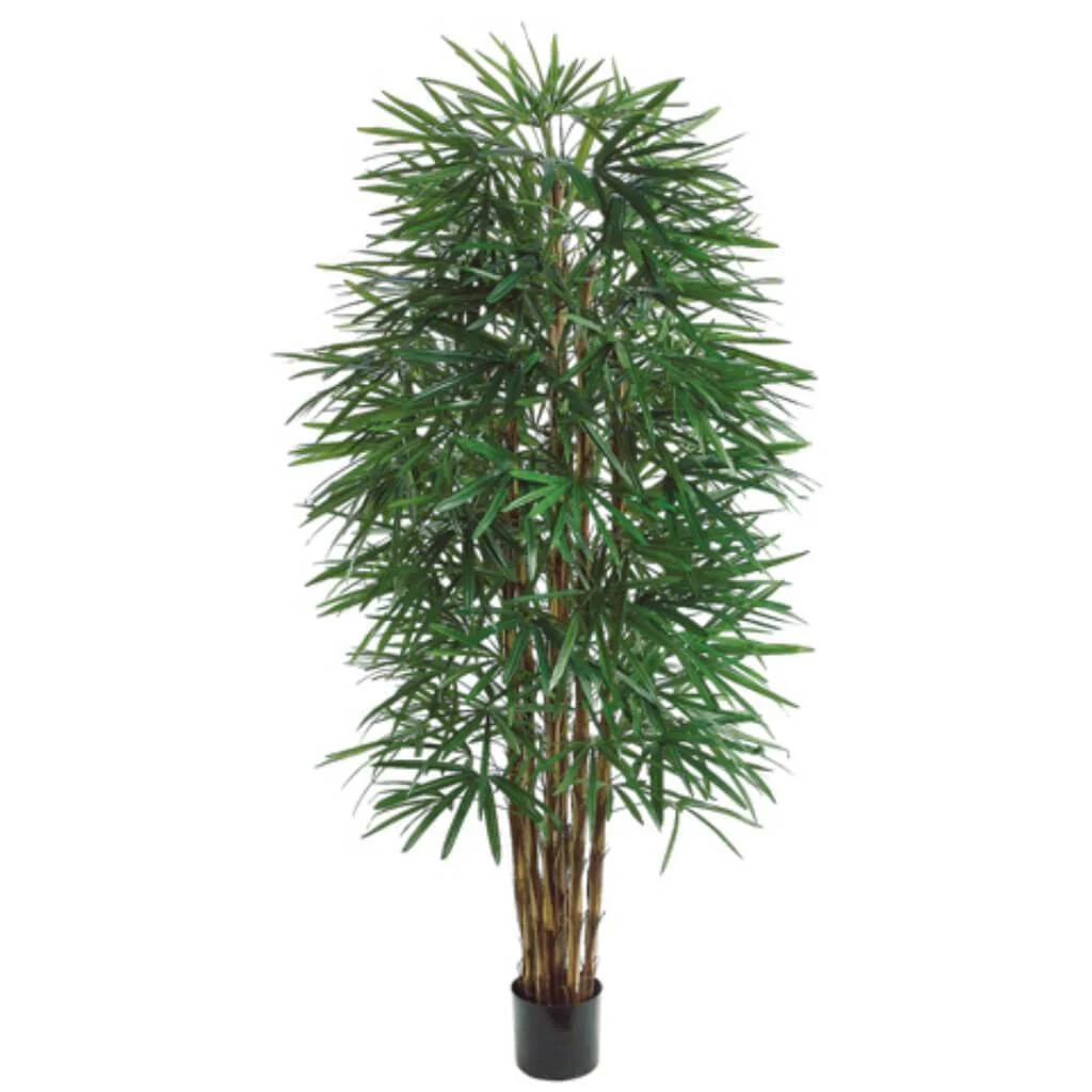 Rhapis Tree branches x6 with 1502 Leaves 6ft, Green