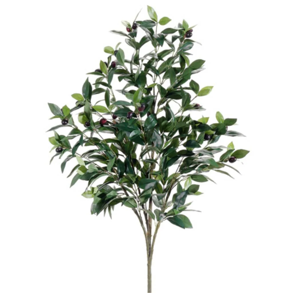 Olive Tree 3.5ft Gr/Tt