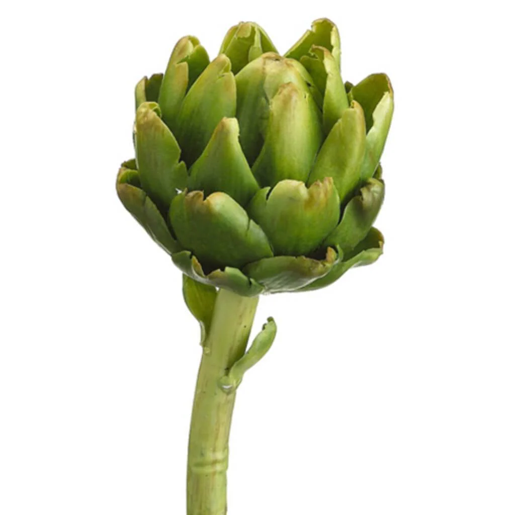9.5"Hx3.25"W Artichoke Gr