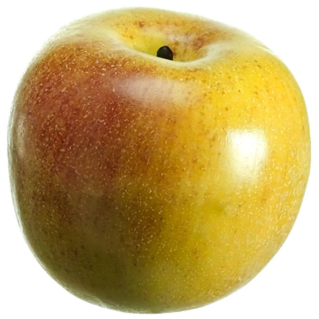 3.25"Weighted Gala Apple Re/Gr