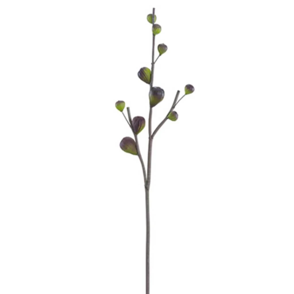 30"Fig Branch Pl/Gr