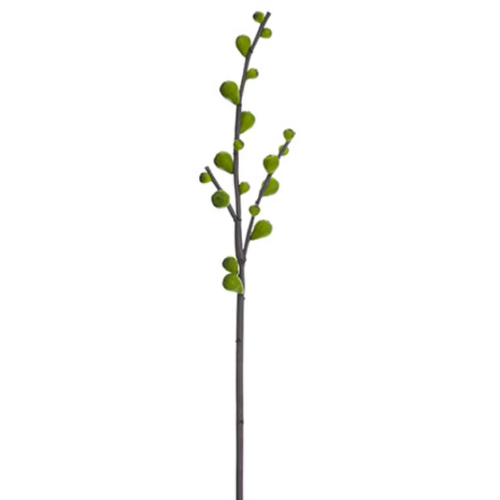 53"Fig Branch Gr