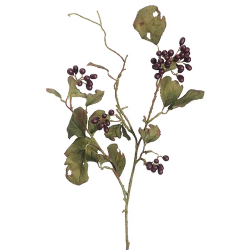 Rc Mountain Berry Spray 28In Eggplant