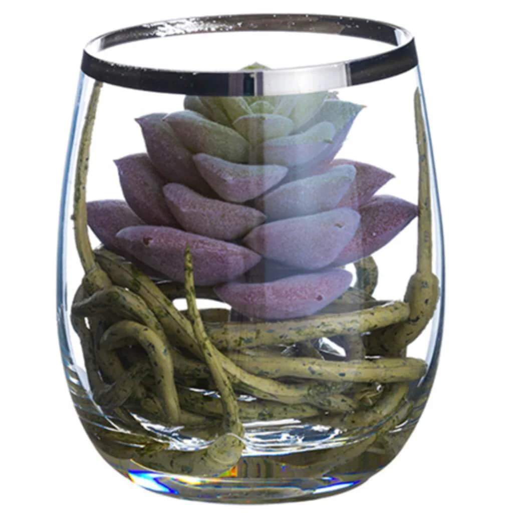3.75"Sedum/Roots In Glass Vase