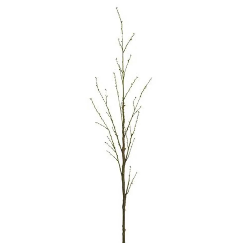 Budding Branch Brown 80in Green