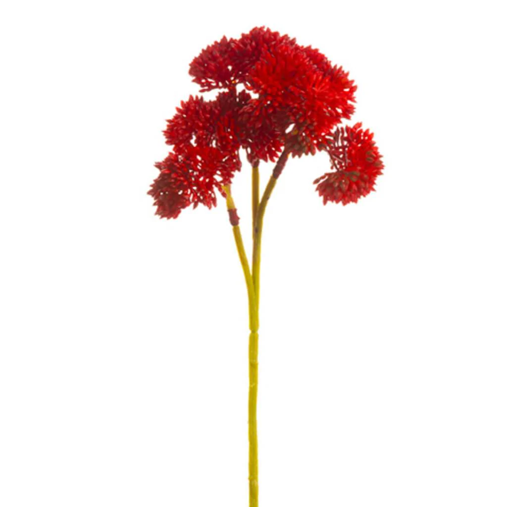 Sedum Pick Bundlex3 Green - Image 3