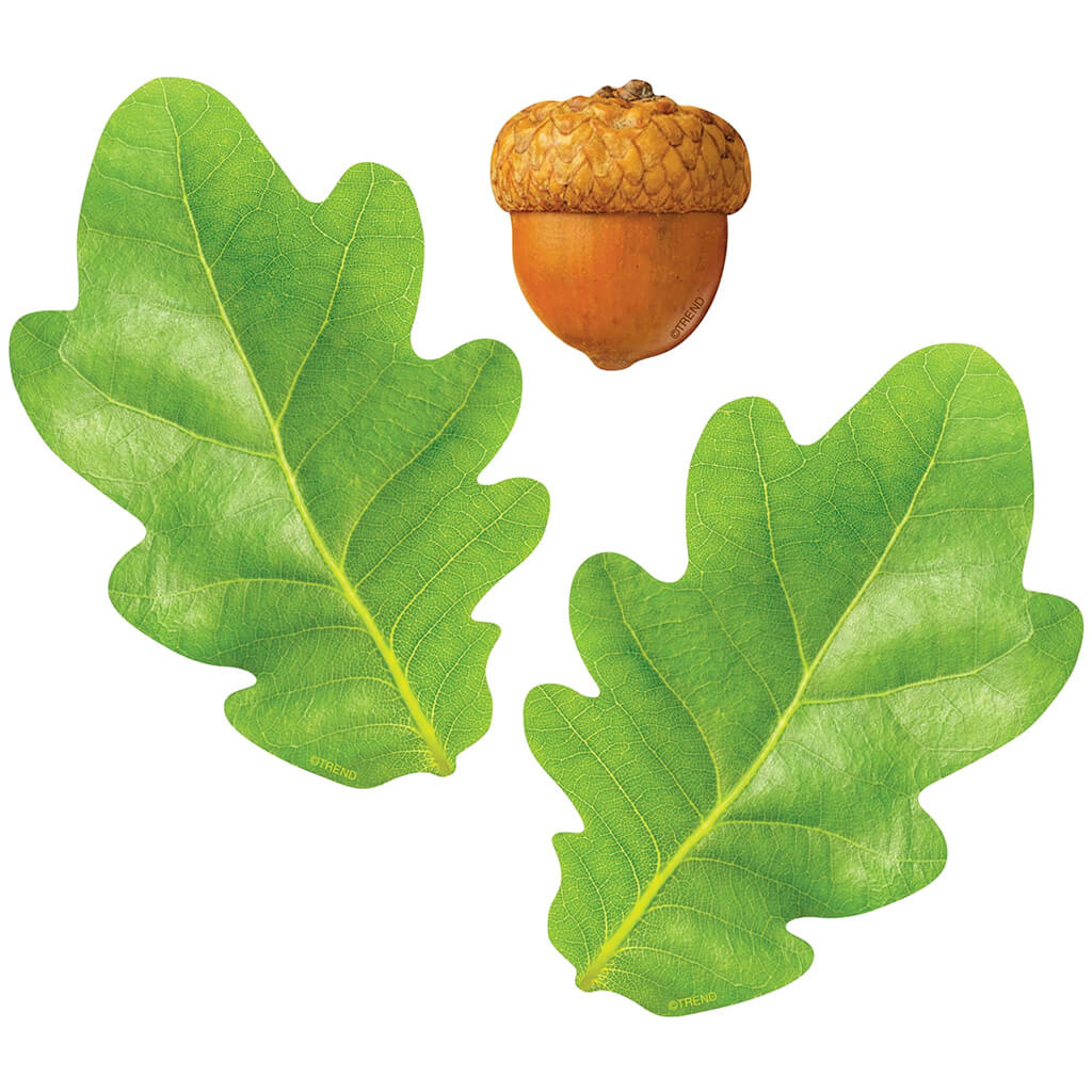 Oak Leaves & Acorns Classic Accents