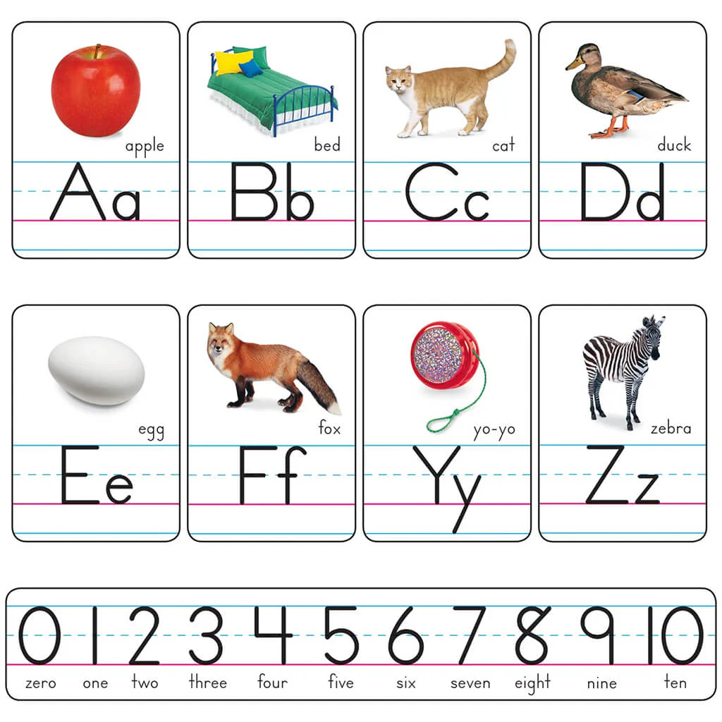 Photo Alphabet Cards Zaner-Bloser Manuscript Bulletin Board Set