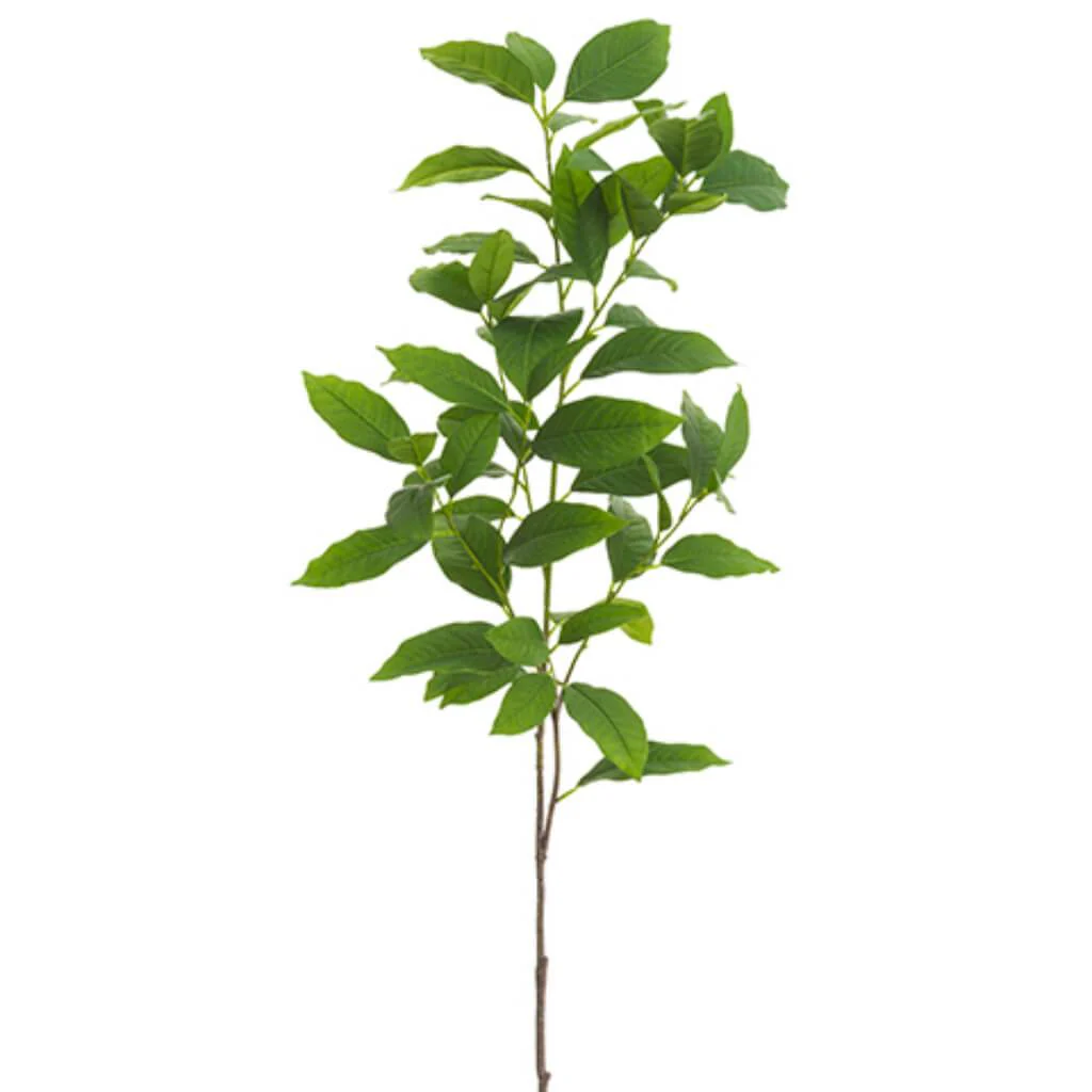 Magnolia Leaf Spray 50in Green