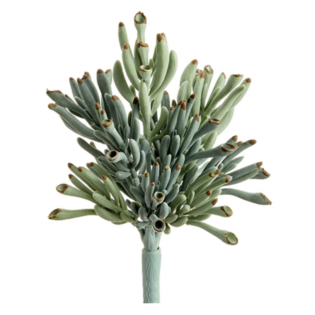 Coral Succulent Pick Green Gray 9in