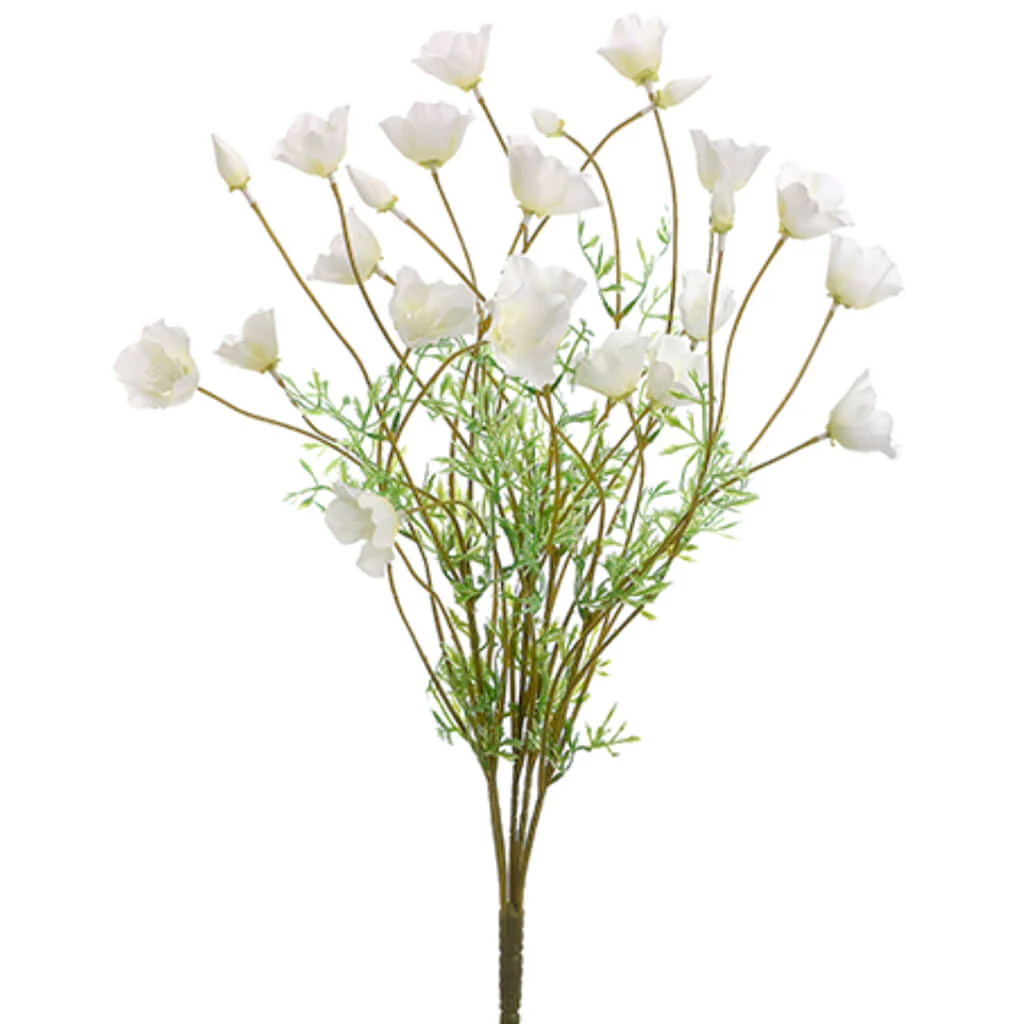 California Poppy Bush x5 Cream White 22in