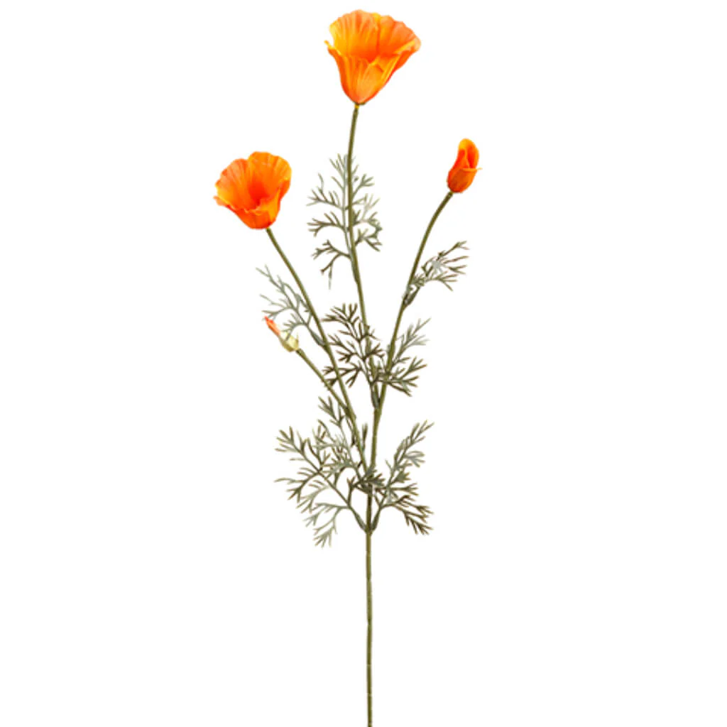 California Poppy Spray x3 28.5in Orange Gold