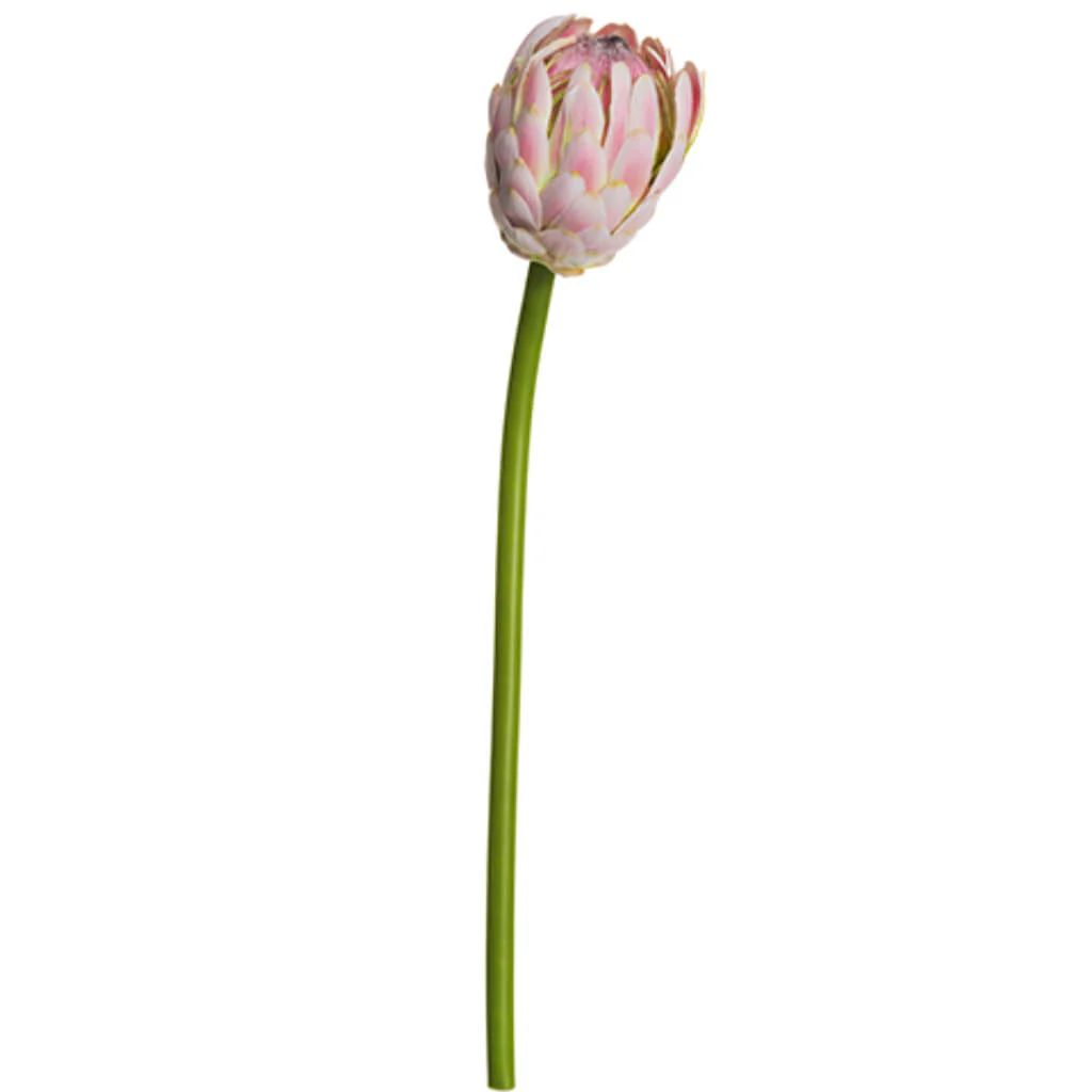 Protea Spray 19in Pink