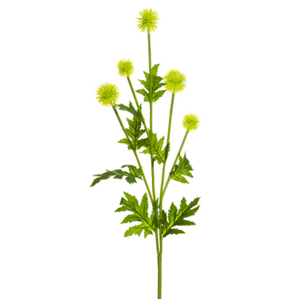 Globe Thistle Spray 28.3in Yellow