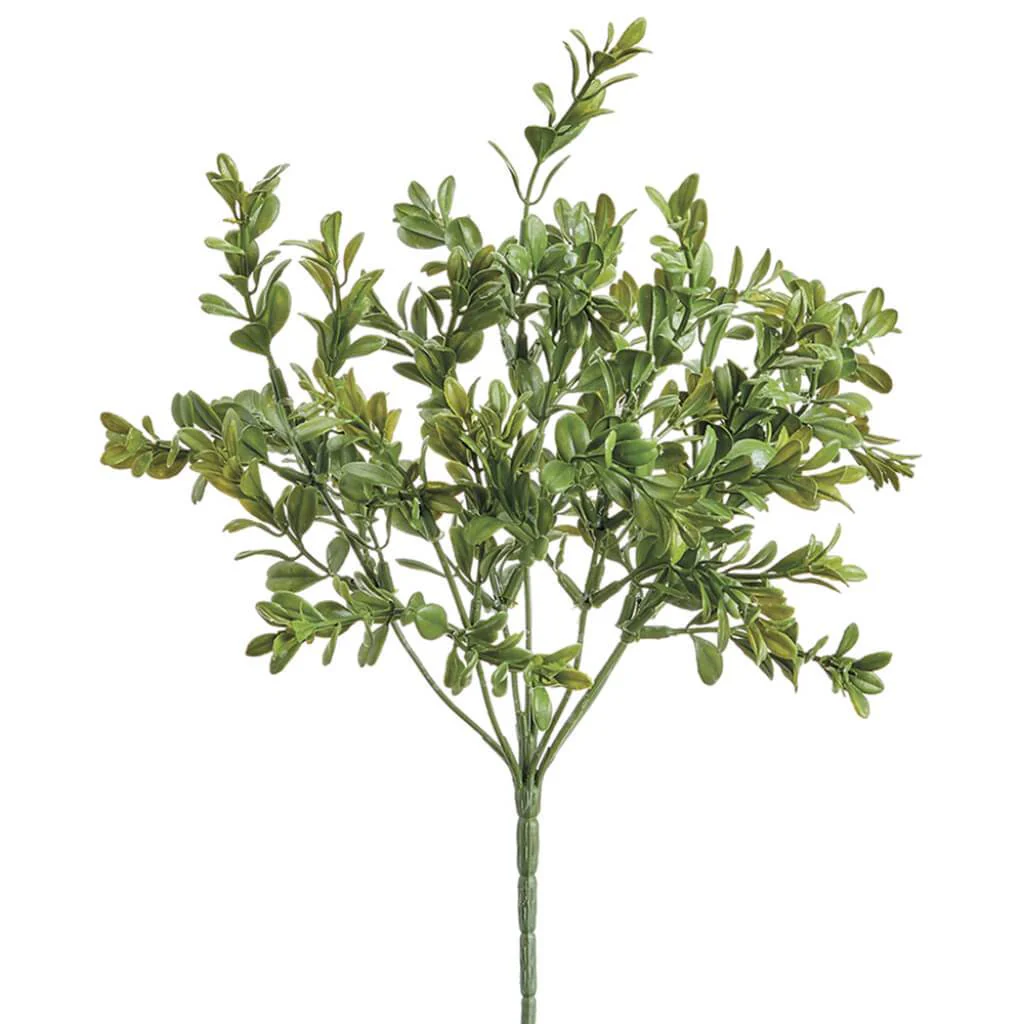 Mini Box wood Bush Green 12.9in