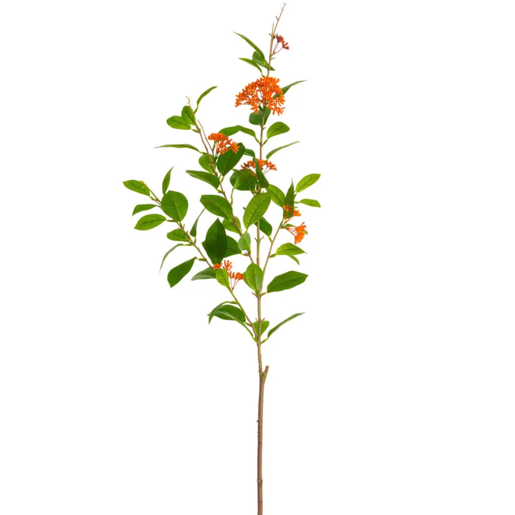 Ixora Spray 45in Flame