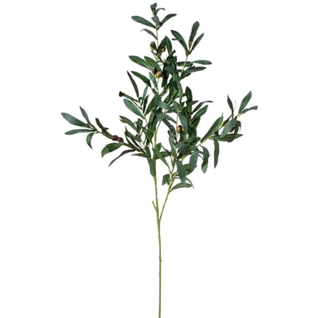 Olive Spray 42in Green