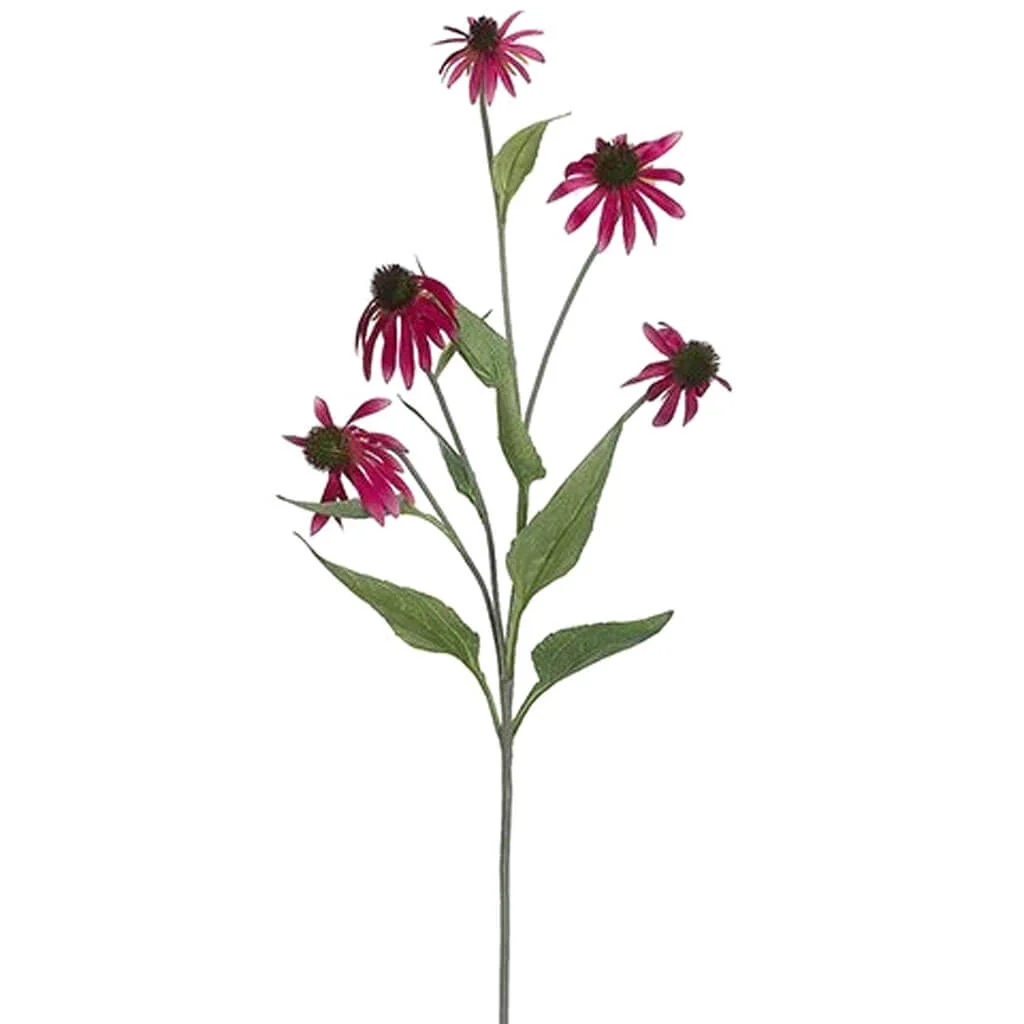 Coneflower Spray 34in Rubrum
