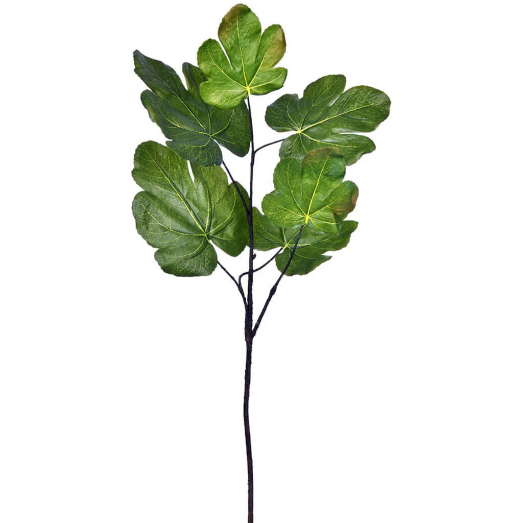 Fig Leaf Spray 26in Green