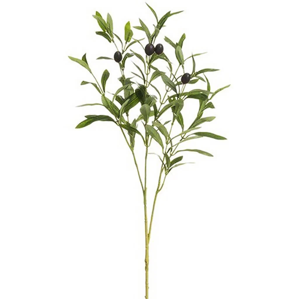 Olive Spray 28in Green