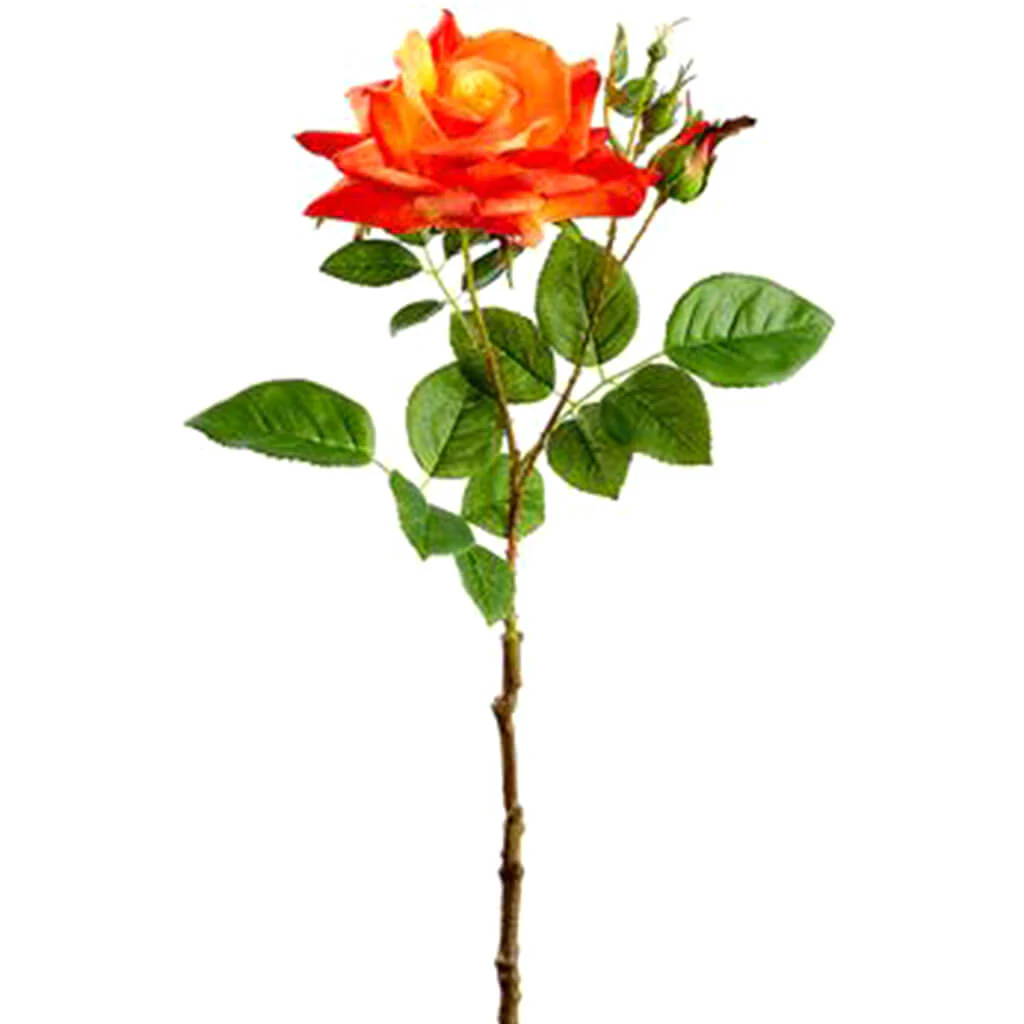 Rose Spray 21in Flame