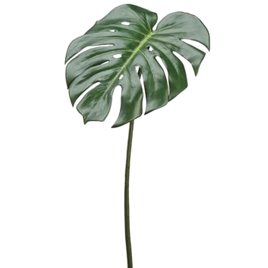 Philodenron Spray 23in Green
